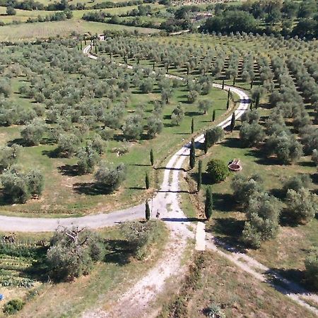 Casetta Dell'Uliveto Macchiascandona Exteriör bild